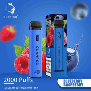 Blueberry Raspberry-2000 Puffs