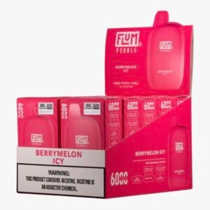 Berrymelon Icy 6000 puffs 10 pack