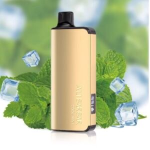 ALIBARBAR INGOT COOL MINT 9000 PUFFS