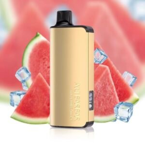 ALIBARBAR INGOT WATERMELON ICE 9000 PUFFS